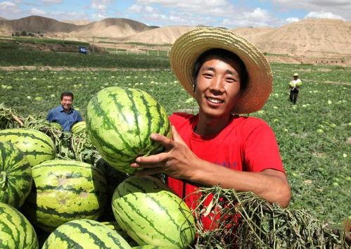 江西太晚娱乐陪你吃瓜